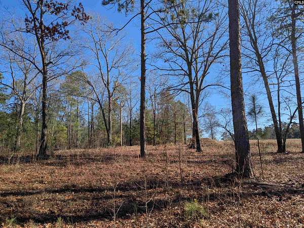 10 Acres of Residential Land for Sale in Ridgeway, South Carolina
