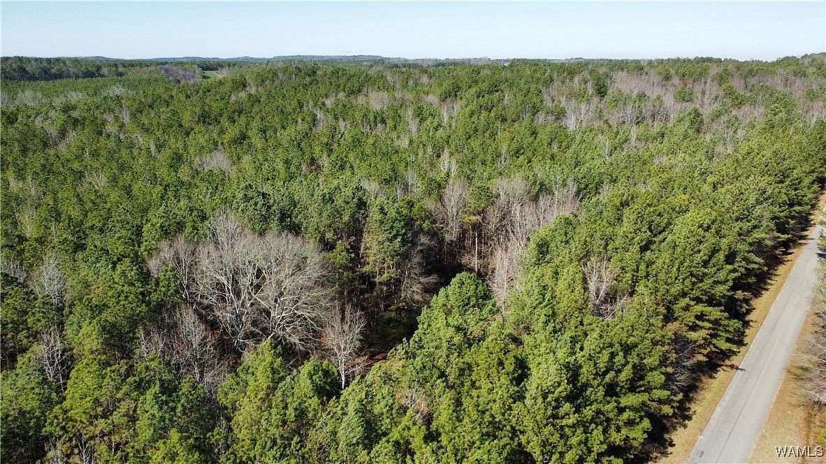 25 Acres of Recreational Land for Sale in Fayette, Alabama