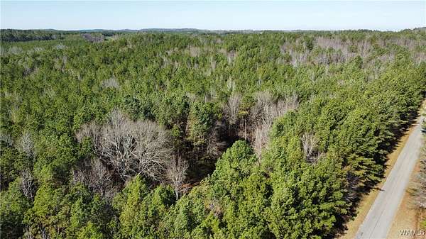 25 Acres of Recreational Land for Sale in Fayette, Alabama