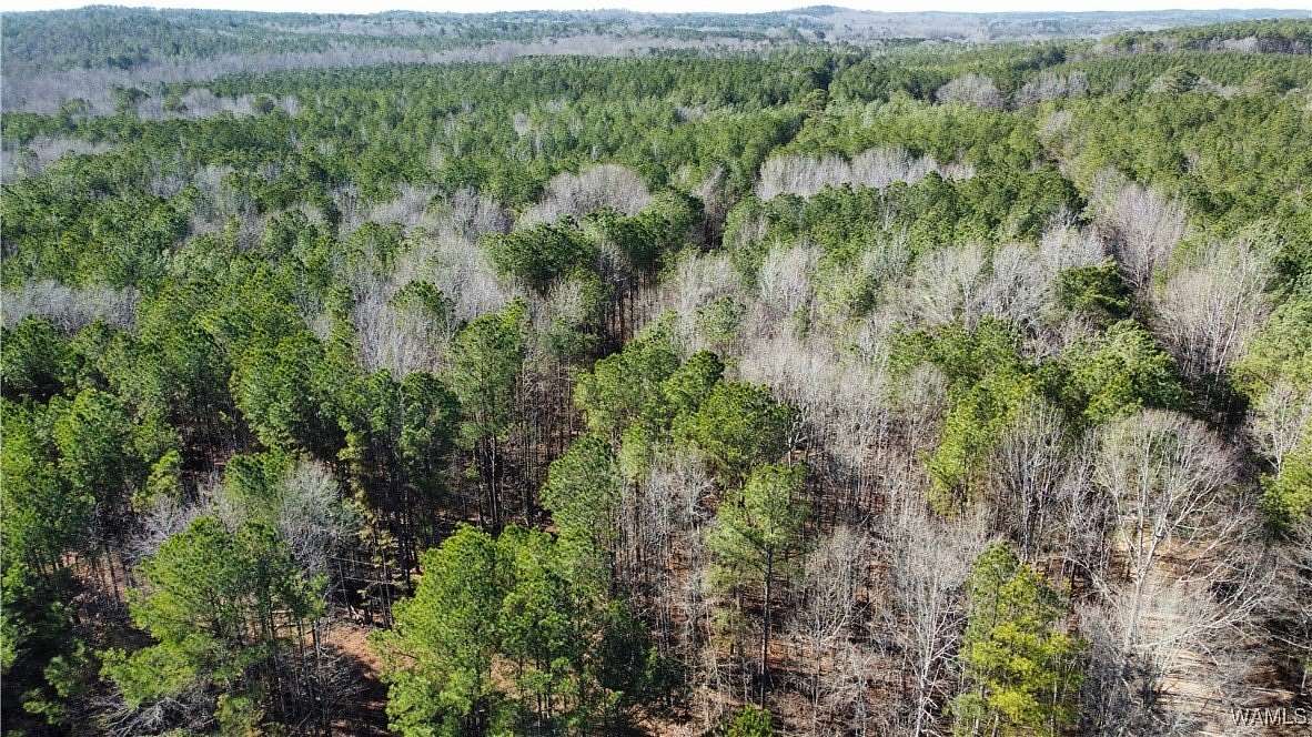 31 Acres of Recreational Land for Sale in Fayette, Alabama