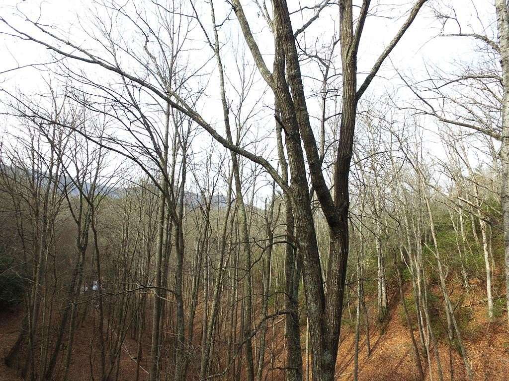 5.32 Acres of Land for Sale in Franklin, North Carolina