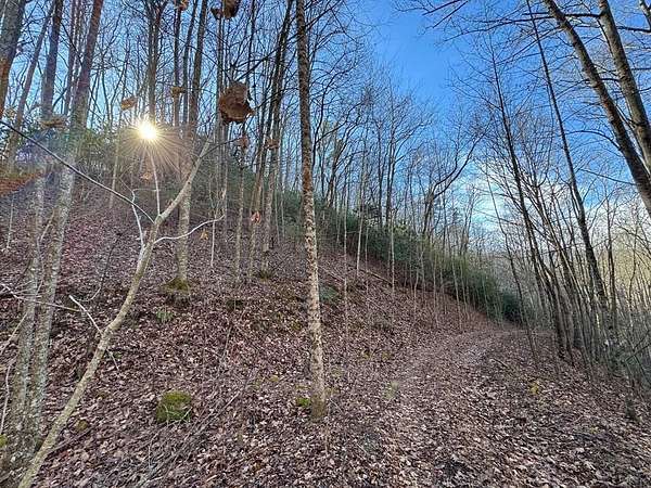 5.32 Acres of Residential Land for Sale in Burningtown Township, North Carolina