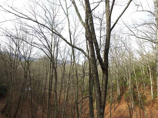5.32 Acres of Residential Land for Sale in Burningtown Township, North Carolina
