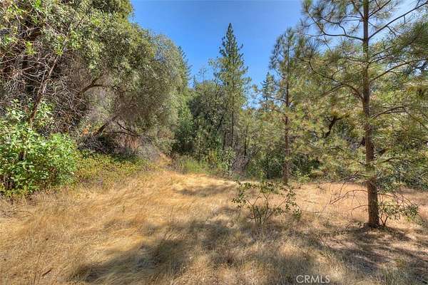 47.6 Acres of Land for Sale in Berry Creek, California