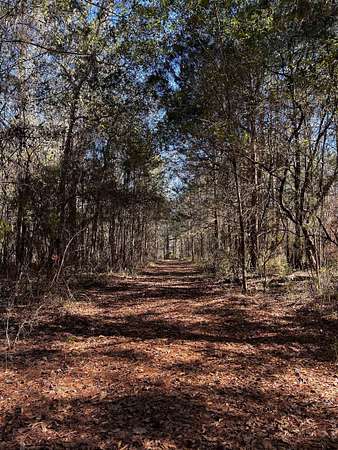 39 Acres of Recreational Land for Sale in Quincy, Florida
