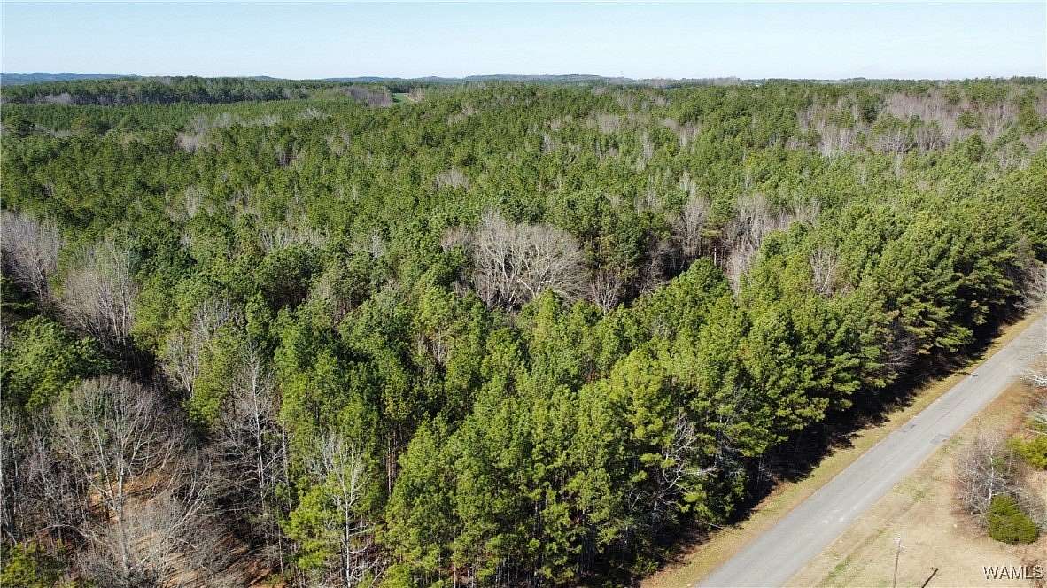 59 Acres of Recreational Land for Sale in Fayette, Alabama