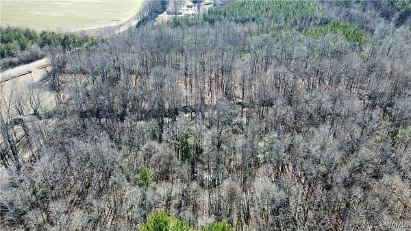 20 Acres of Recreational Land for Sale in Fayette, Alabama