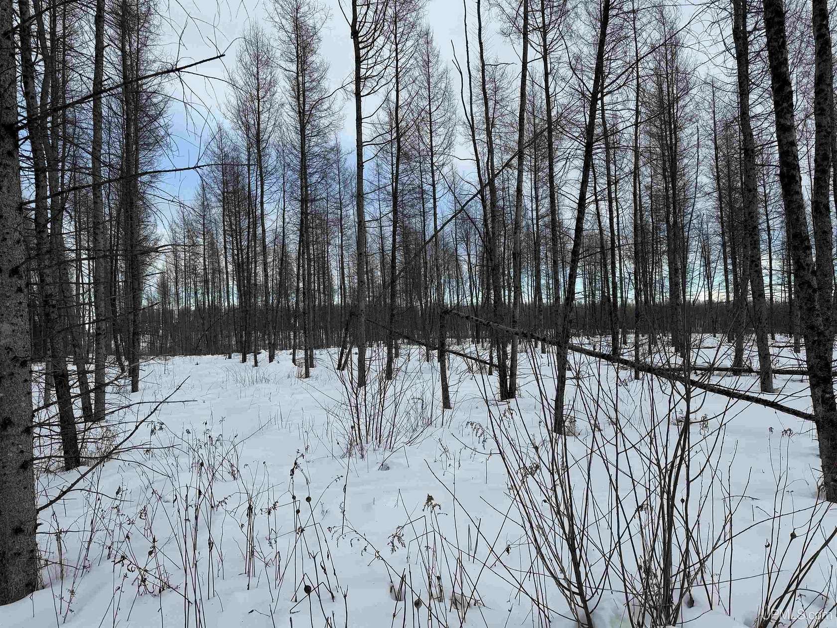 20.8 Acres of Land for Sale in Perronville, Michigan