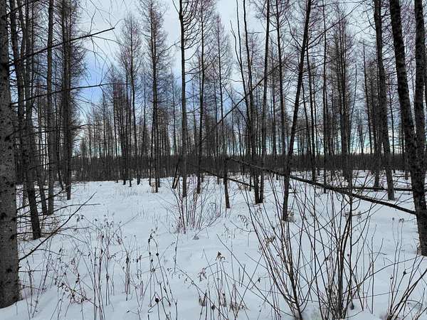 20.8 Acres of Land for Sale in Perronville, Michigan