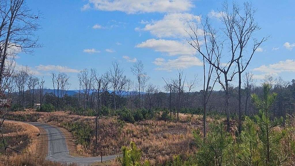 3.83 Acres of Land for Sale in Ellijay, Georgia