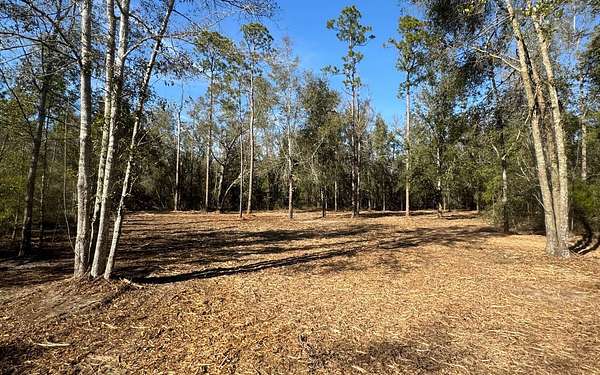 6 Acres of Residential Land for Sale in Lee, Florida