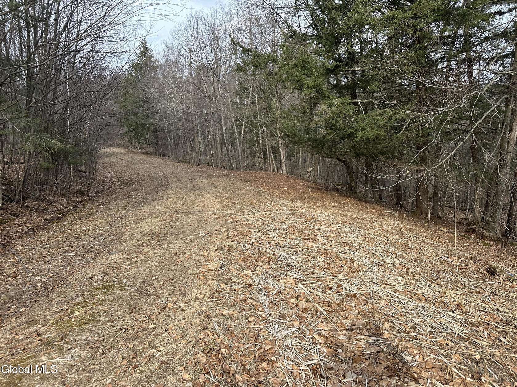 6 Acres of Residential Land for Sale in Stephentown, New York