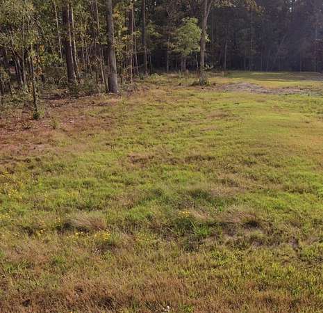 0.75 Acres of Residential Land for Sale in Lufkin, Texas