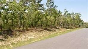 0.46 Acres of Residential Land for Sale in Weeki Wachee, Florida