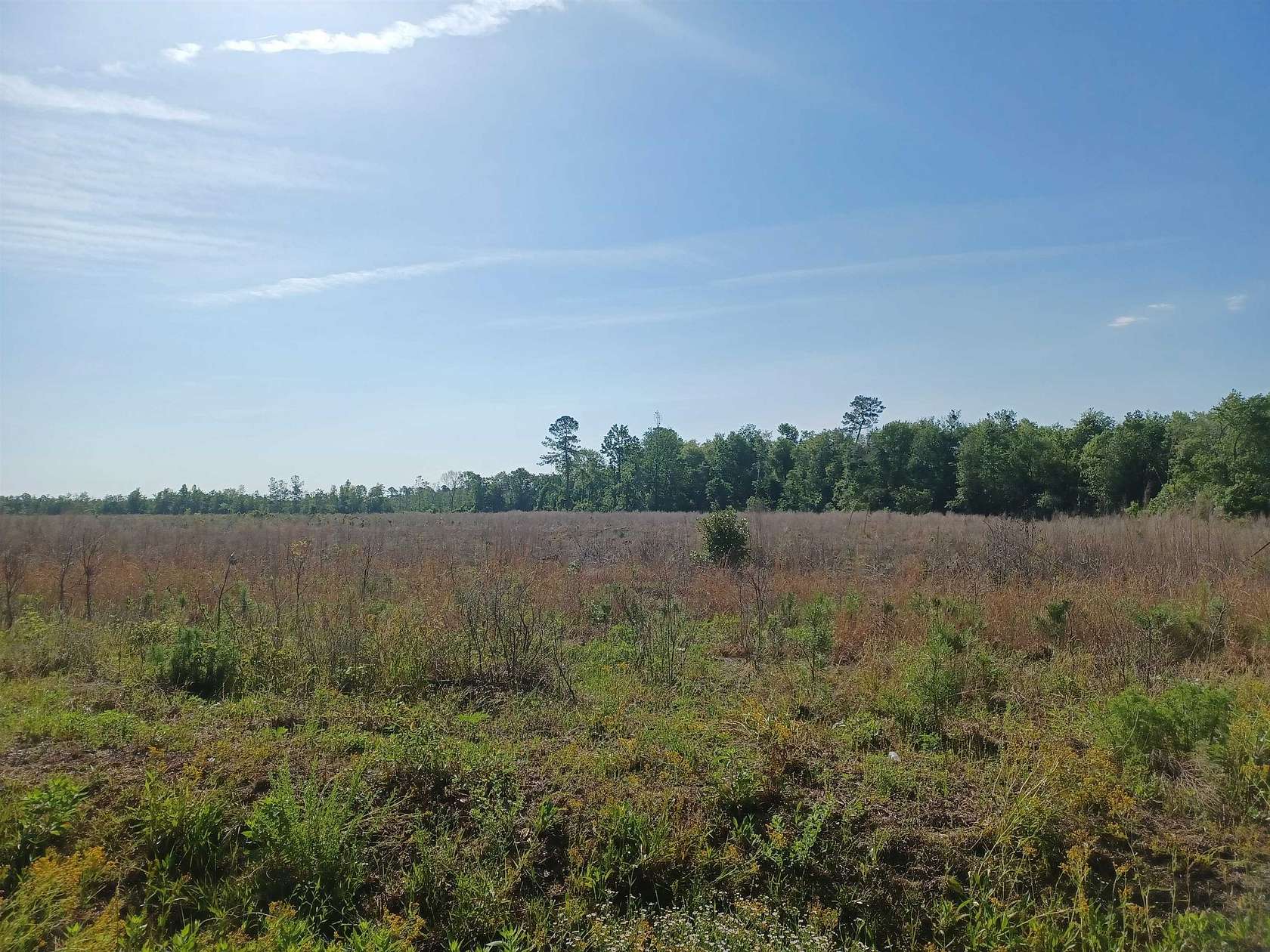 10.3 Acres of Land for Sale in Nichols, South Carolina