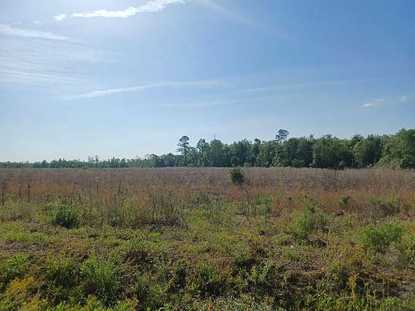 10.3 Acres of Land for Sale in Nichols, South Carolina