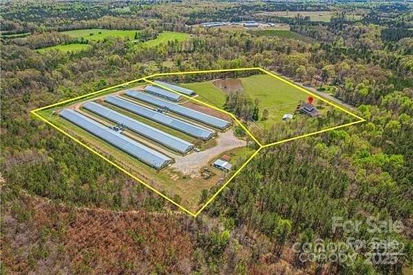 17.2 Acres of Land for Sale in Staley, North Carolina
