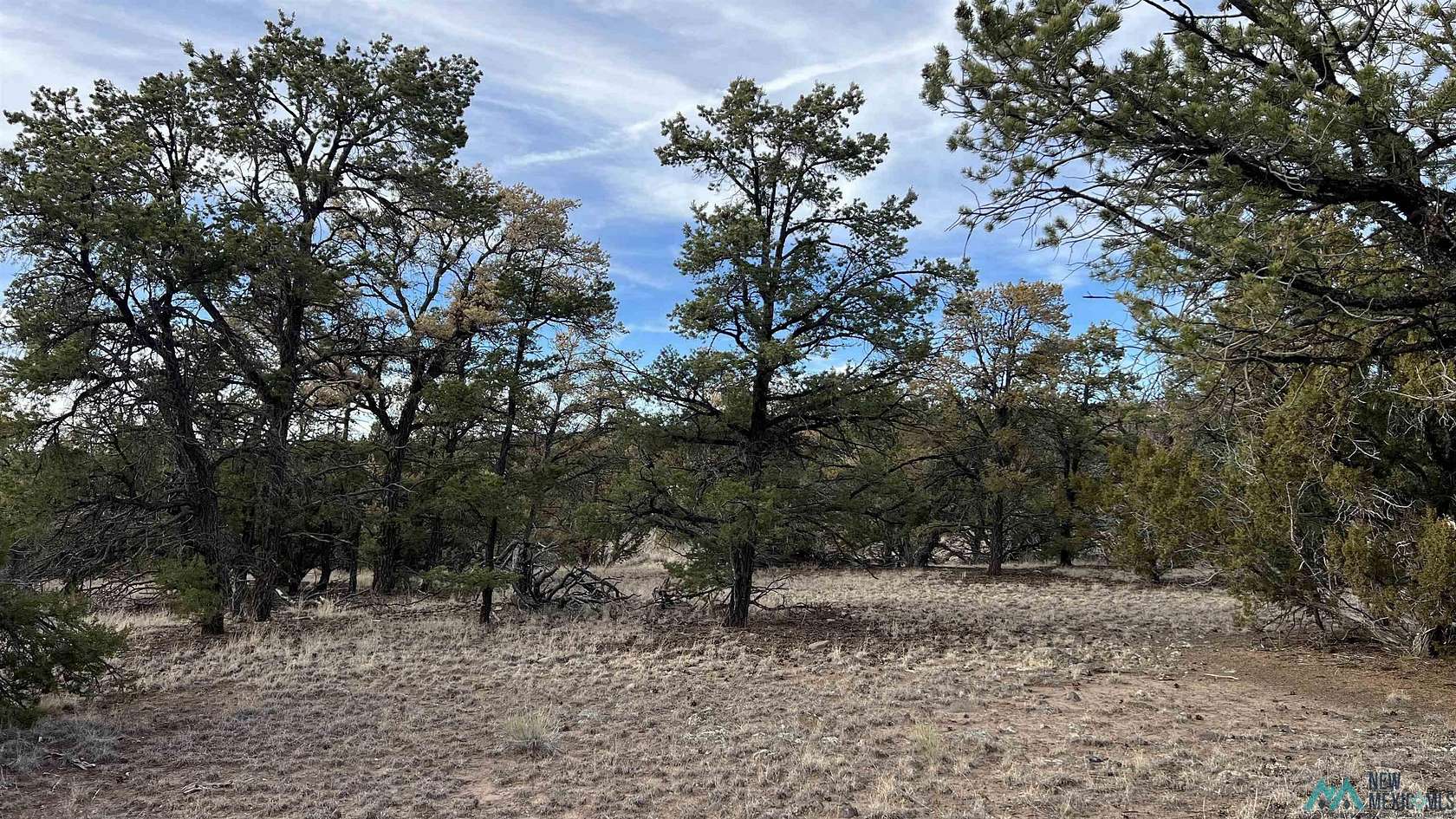 10.1 Acres of Land for Sale in Quemado, New Mexico
