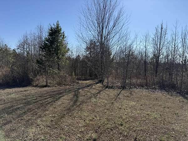 5 Acres of Residential Land for Sale in Bryant, Alabama