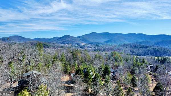 1 Acre of Residential Land for Sale in Young Harris, Georgia