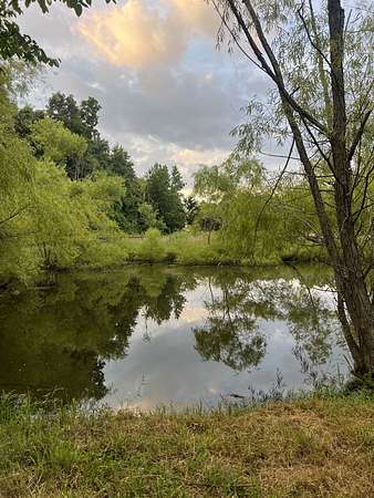 15 Acres of Agricultural Land for Sale in Springfield, Tennessee