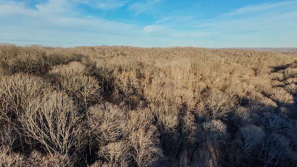 11 Acres of Land for Sale in Cottontown, Tennessee