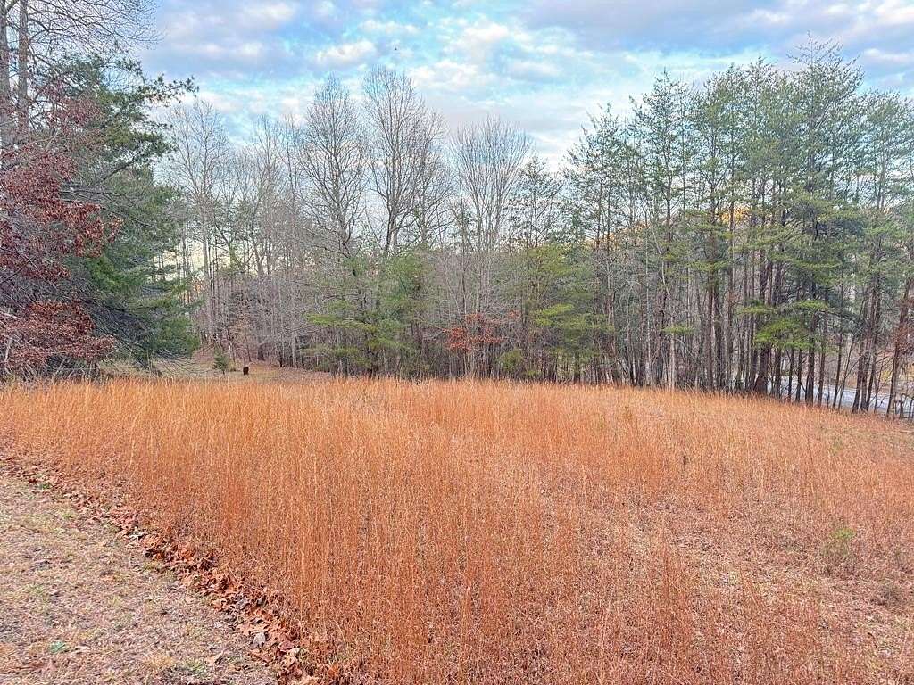 0.84 Acres of Residential Land for Sale in Hiawassee, Georgia