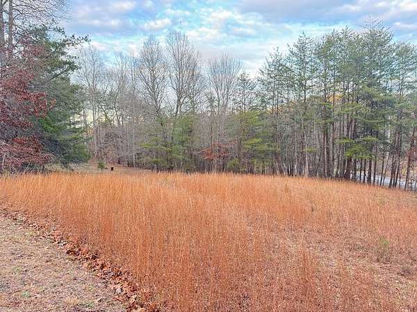0.84 Acres of Residential Land for Sale in Hiawassee, Georgia