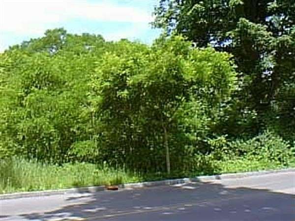 0.33 Acres of Residential Land for Sale in Ithaca, New York