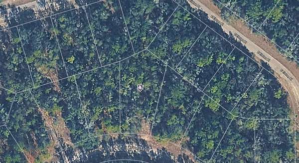 0.37 Acres of Land for Sale in Dunnellon, Florida