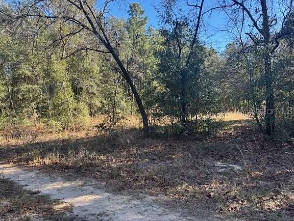 0.34 Acres of Residential Land for Sale in Ocala, Florida