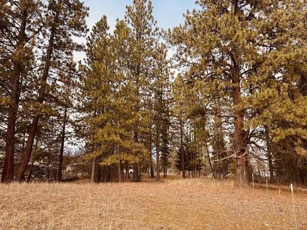 1 Acre of Land for Sale in Thompson Falls, Montana
