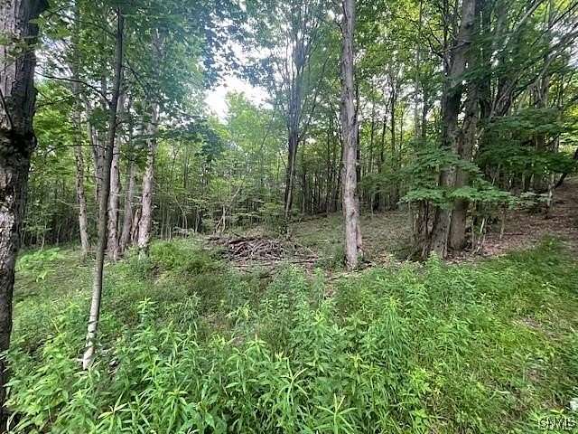 20.4 Acres of Recreational Land for Sale in Cortland, New York