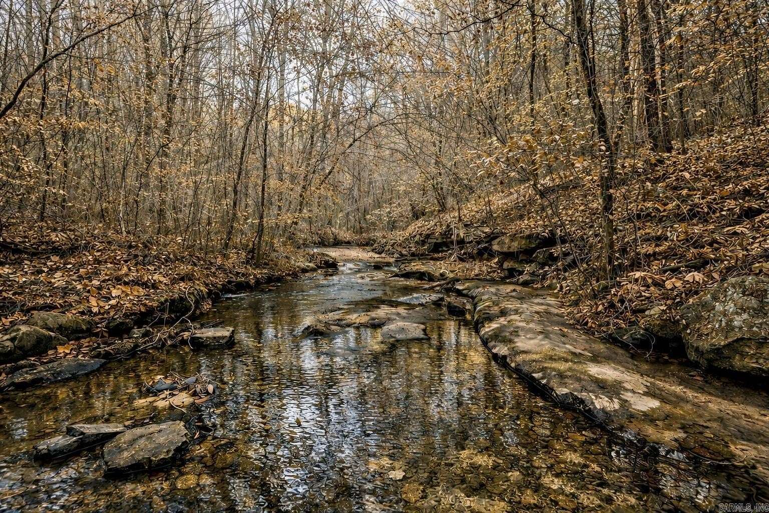 10 Acres of Recreational Land for Sale in Dennard, Arkansas