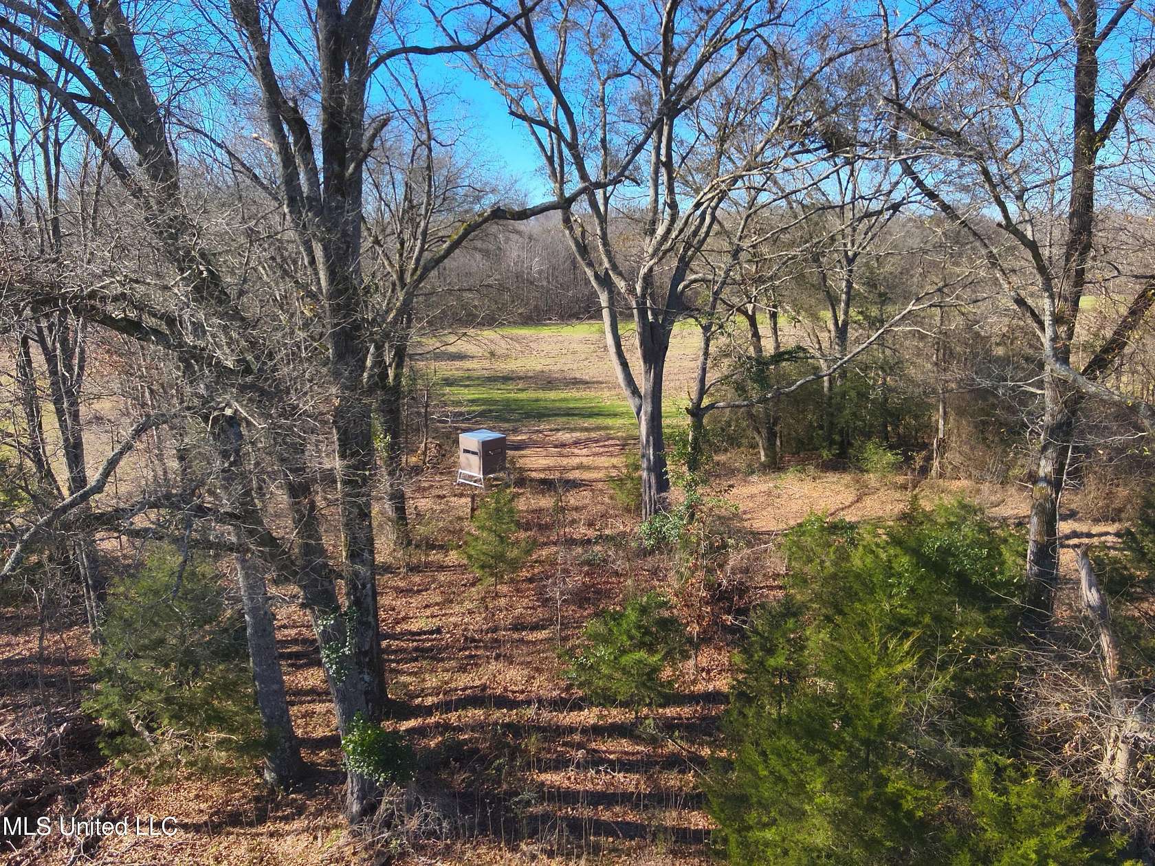 308 Acres of Recreational Land for Sale in Vaughan, Mississippi