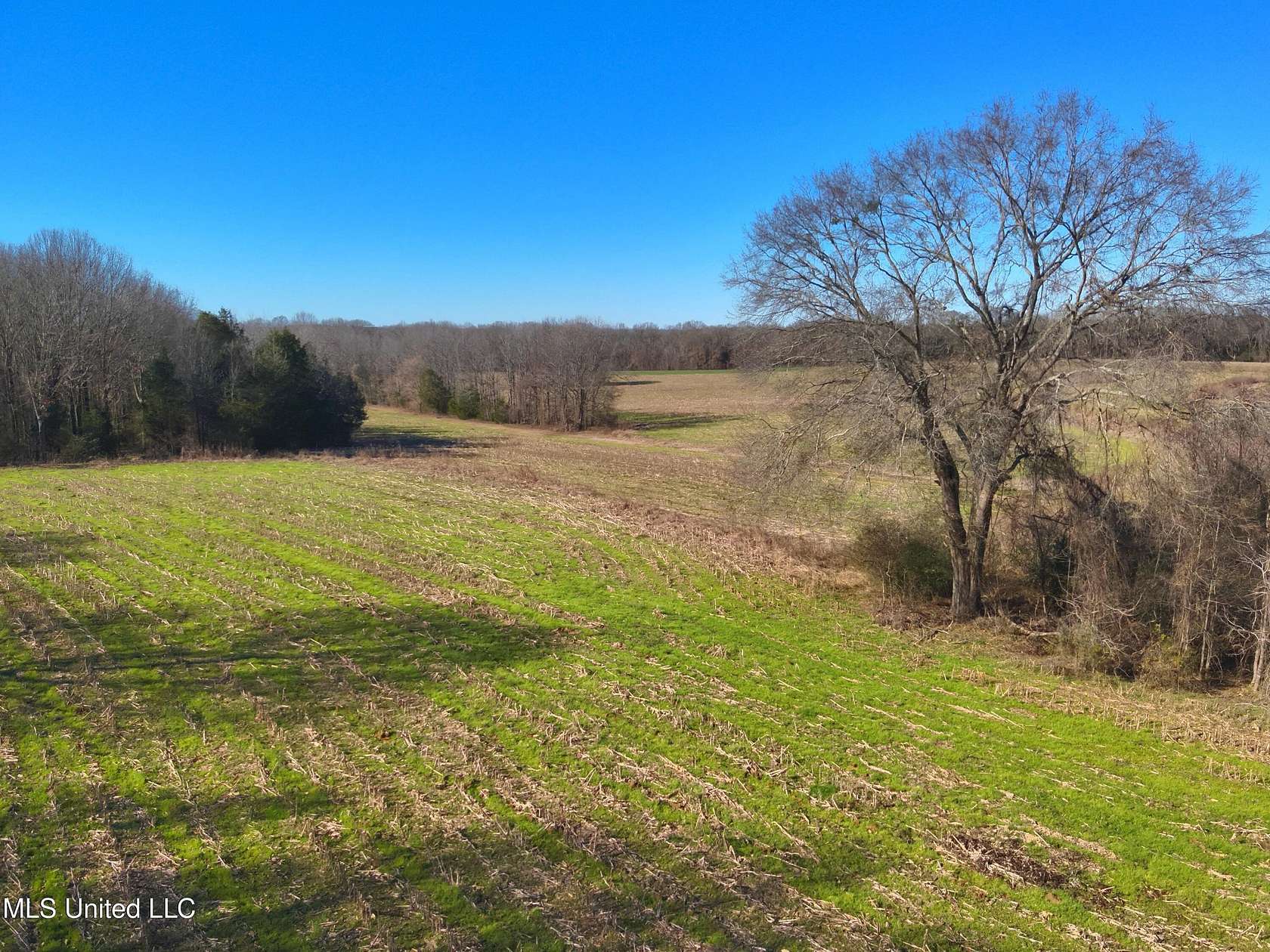 308 Acres of Recreational Land for Sale in Vaughan, Mississippi