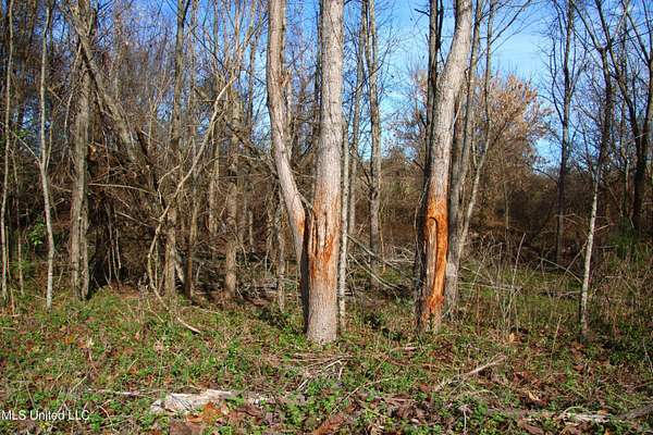 308 Acres of Recreational Land for Sale in Vaughan, Mississippi