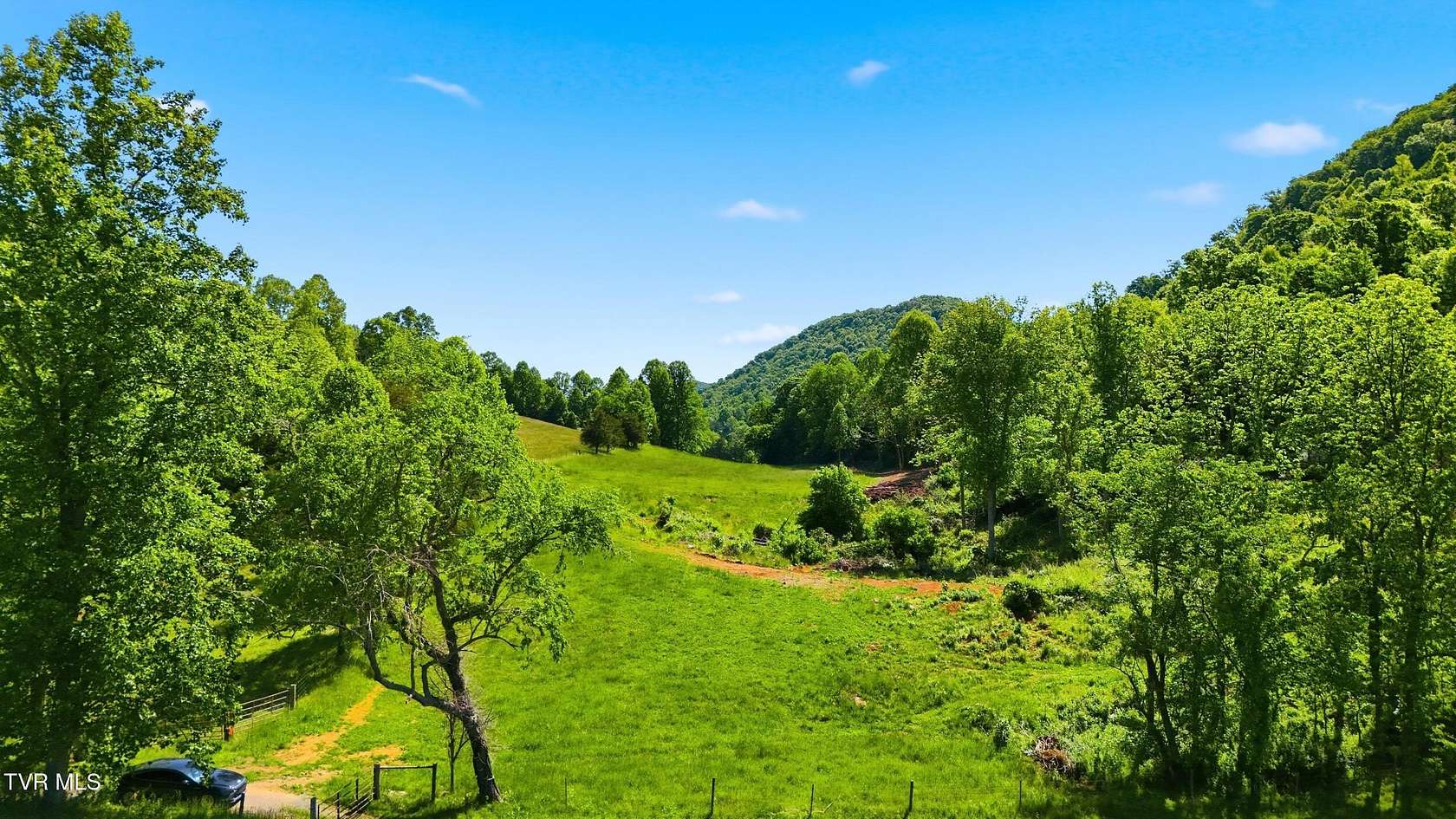 65 Acres of Land for Sale in Duffield, Virginia