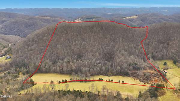 65 Acres of Recreational Land & Farm for Sale in Duffield, Virginia