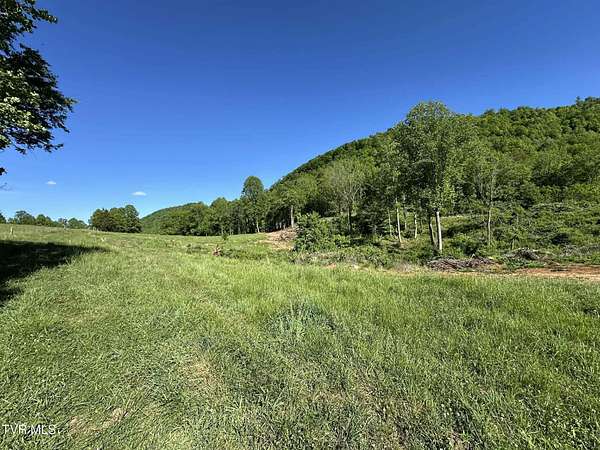 65 Acres of Land for Sale in Duffield, Virginia