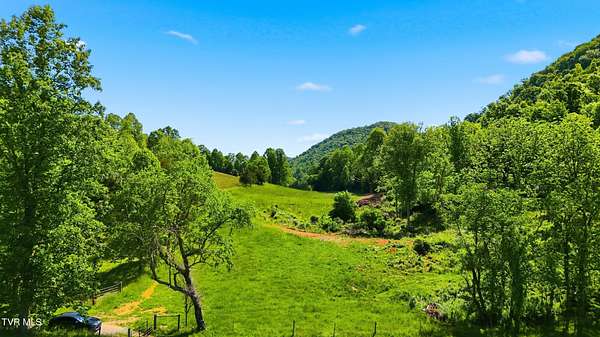 65 Acres of Land for Sale in Duffield, Virginia