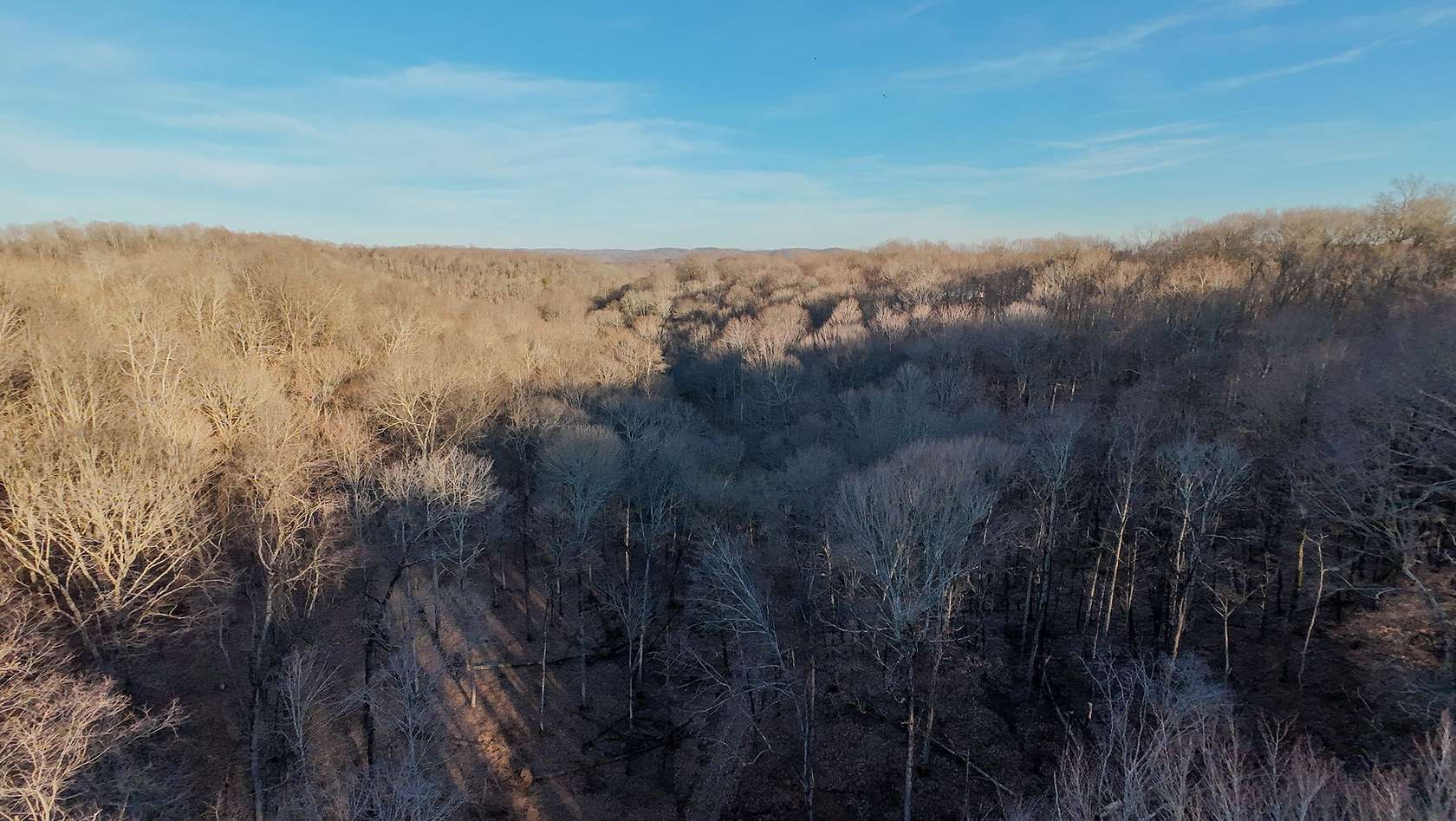 5.76 Acres of Residential Land for Sale in Cottontown, Tennessee