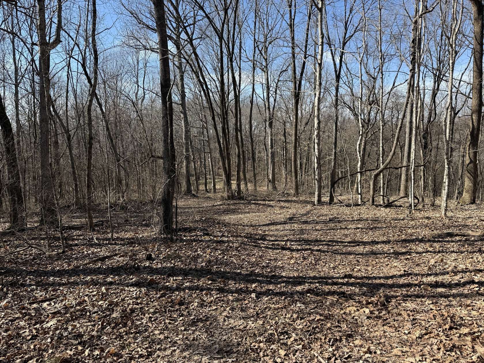 7 Acres of Residential Land for Sale in Nashville, Tennessee