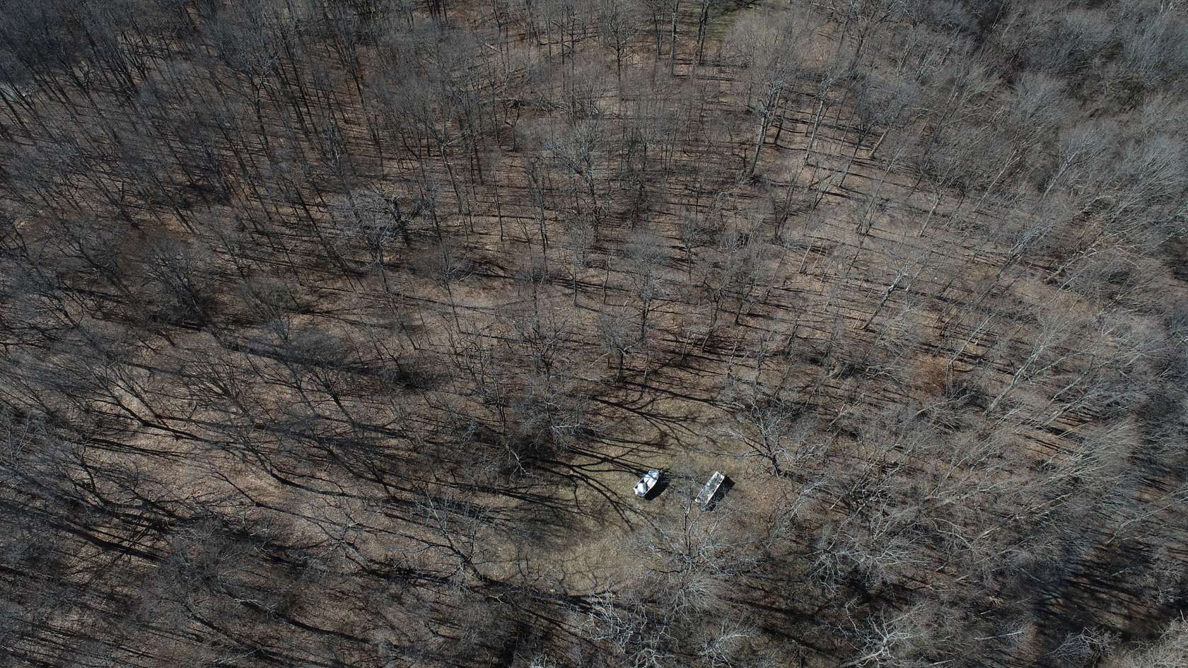 4.75 Acres of Residential Land for Sale in Nashville, Tennessee