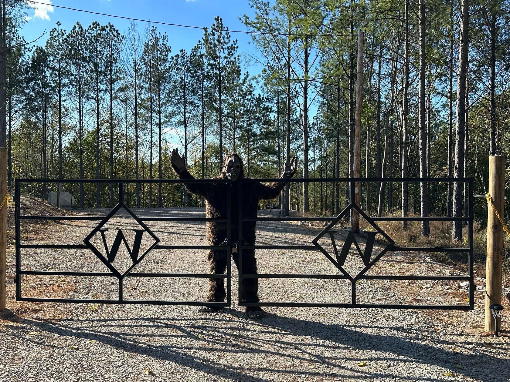 11 Acres of Recreational Land for Sale in Linden, Tennessee