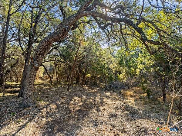 0.88 Acres of Residential Land for Sale in Canyon Lake, Texas