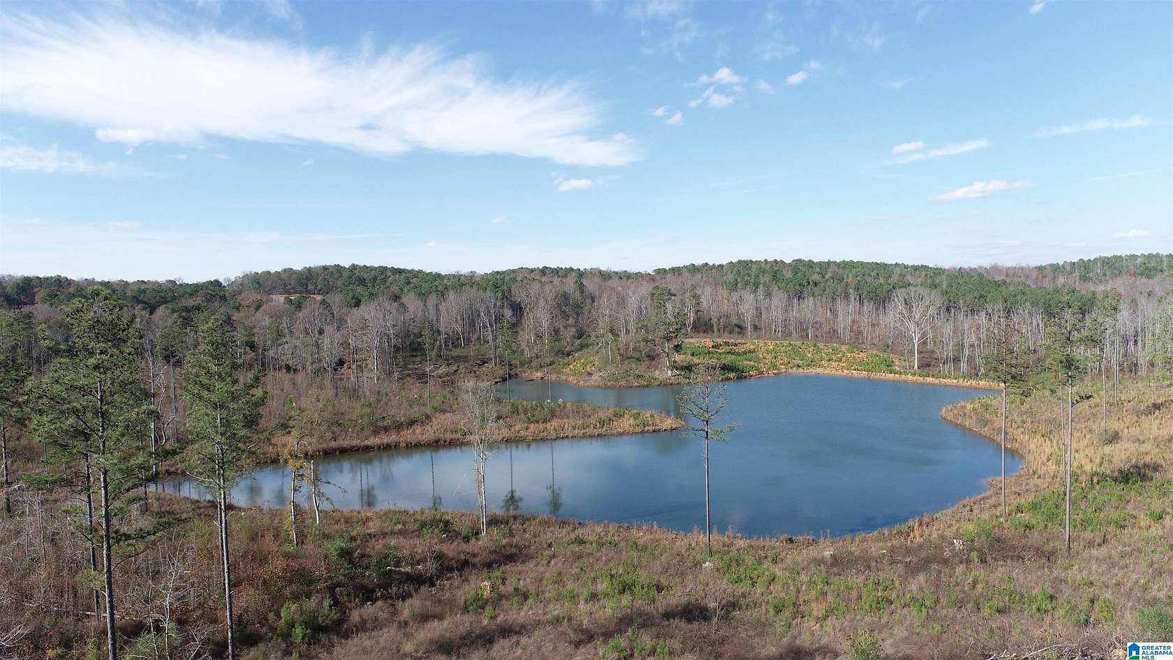 57.4 Acres of Recreational Land for Sale in Wedowee, Alabama