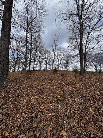 4.25 Acres of Land for Sale in Cape Fair, Missouri