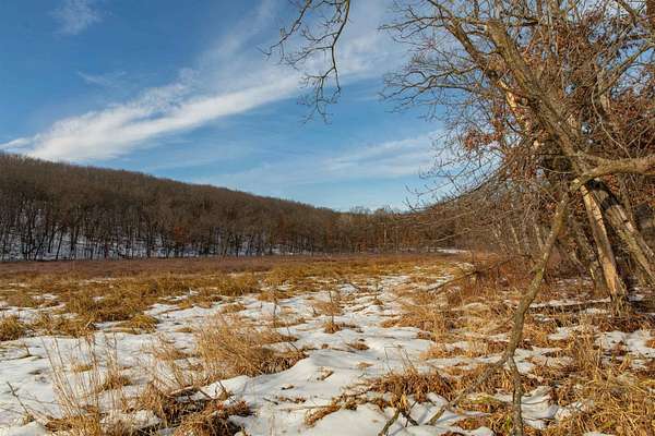 69 Acres of Recreational Land for Sale in Oxford, Wisconsin