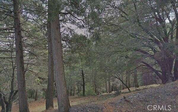 0.06 Acres of Residential Land for Sale in Cedarpines Park, California